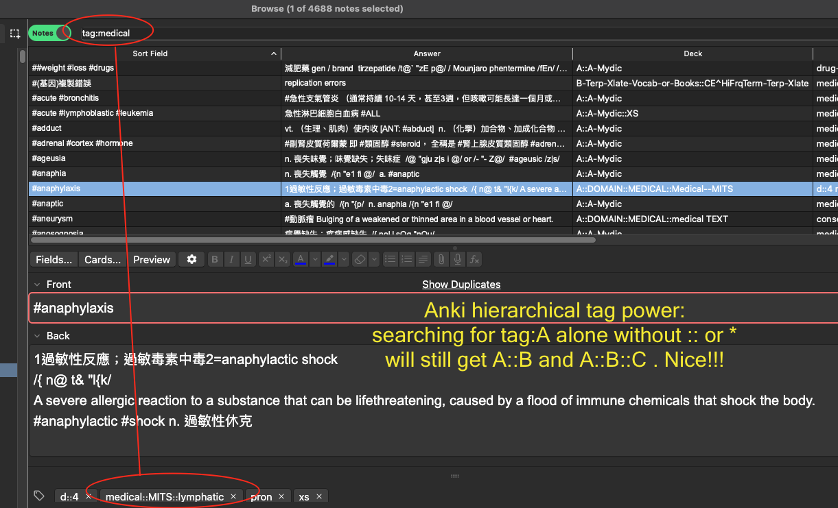 hierarchical tag search in anki.png